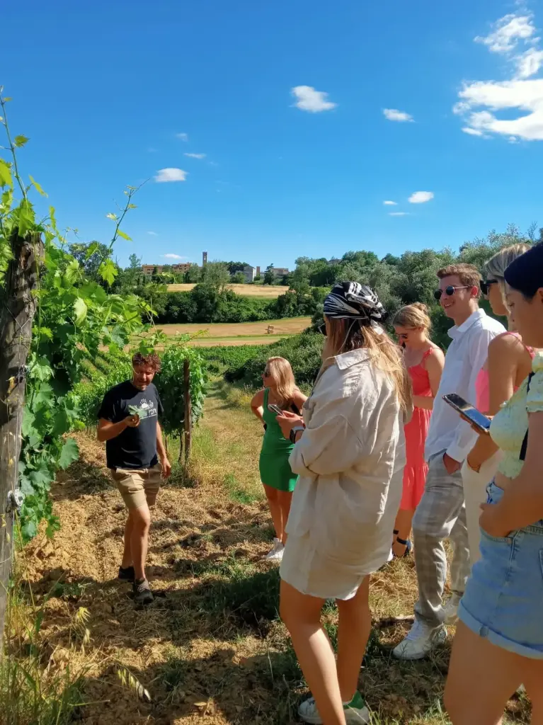 My Farm: Three Experiences in One Day - Florence
