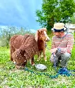 My Farm: Three Experiences in One Day - Florence